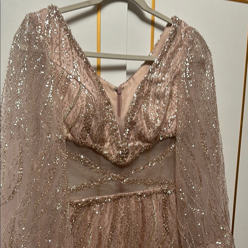 Pink maxi long sleeve dress with waist showing looks brand new